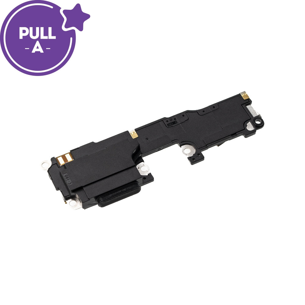 Loud Speaker for Google Pixel 6 (PULL-A)