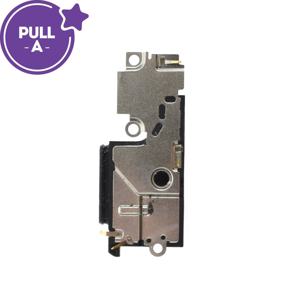 Loud Speaker for Google Pixel 7 (PULL-A)